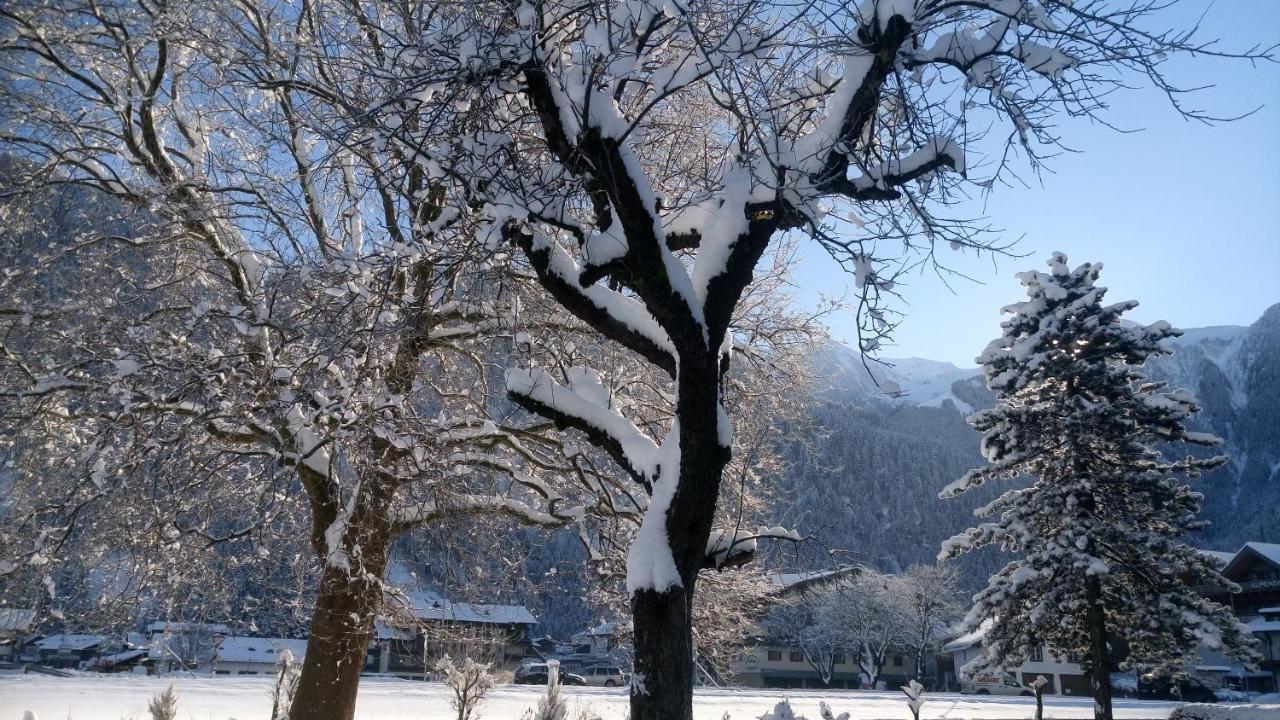 Hotel Garni Birkenhof Mayrhofen Exterior photo